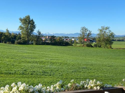 Gemütliche Wohnung mit Ofen und Naturblick in Wildpoldsried, Deutschland