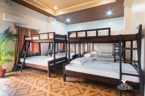 Nest resort Room Type - Dormitory Room