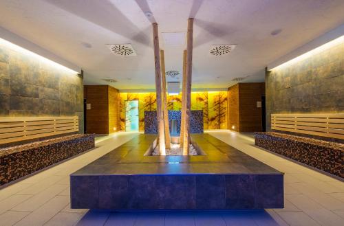 Spa, Kupelne domceky - KUPELE CERVENY KLASTOR Smerdzonka in Cerveny Klastor