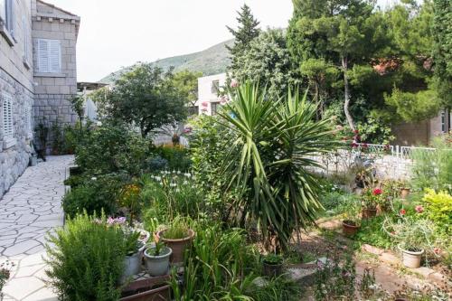  Yellow Room Guesthouse in Dubrovnik