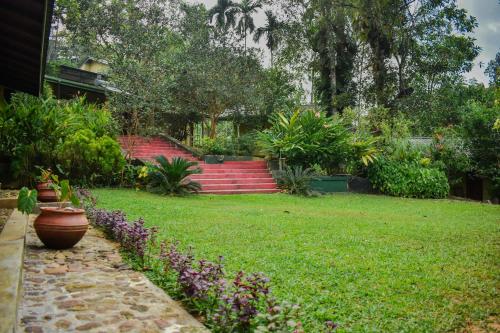 Blue Magpie Lodge, Kudawa, Weddagala