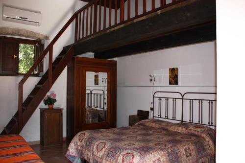 Foto - Azienda Agrituristica Le Puzelle