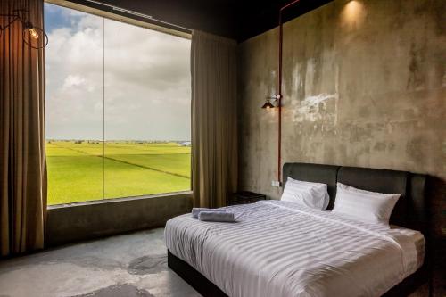 PADI Sentral @ Sekinchan in Sabak Bernam