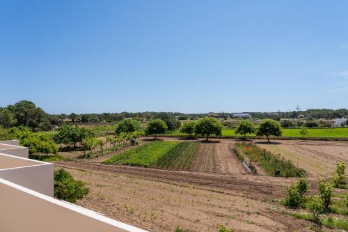 Apartamentos Marcelino - Formentera Break