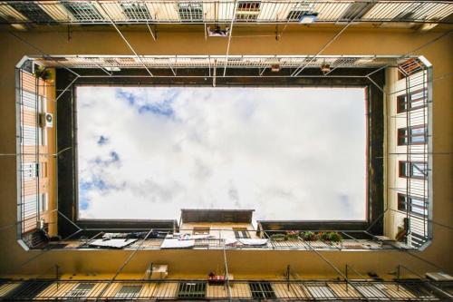 Nefelejcs near the Keleti railway station - Tap to explore photos