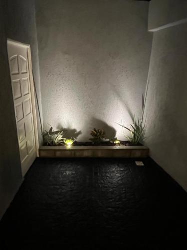 One-Bedroom House image 4