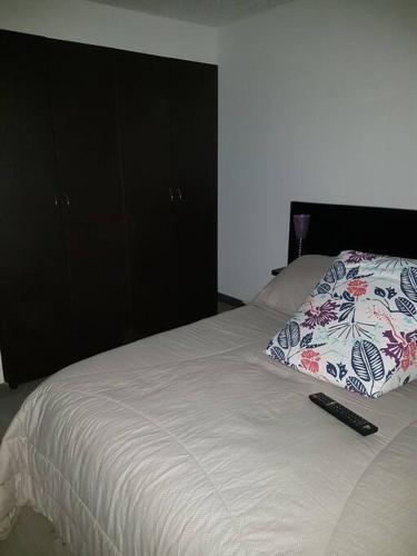 Apartamento amoblado Central 148