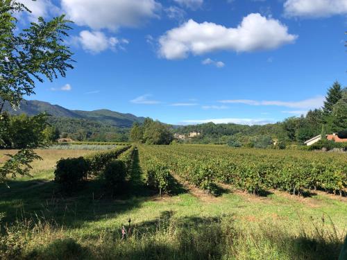 Terres de France - Le Domaine des Vans