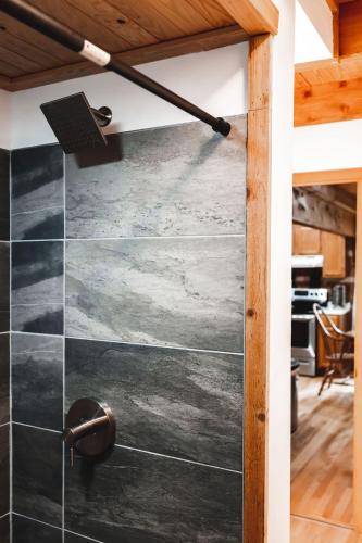 Mountain Laurel Cabin at 36 North - Fireplace in Purlear, USA