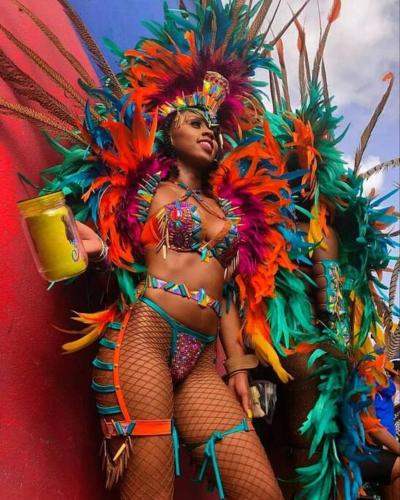 Apt Turtle Beach your home at the beach