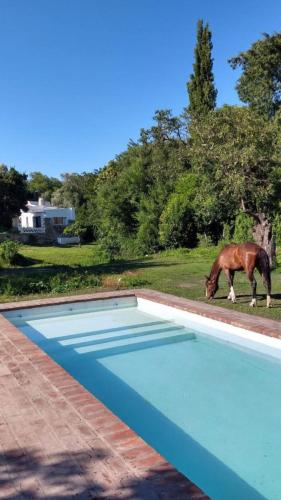 Andaluzia Casa Hotel