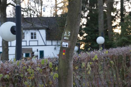 Waldhotel Wilhelmshöhe - image 11