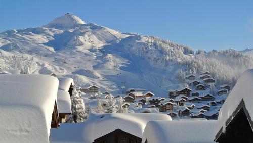 A környék, Chalet Diana - Spacious flat - Village core - South facing - Ski-in/Ski-out in Bettmeralp