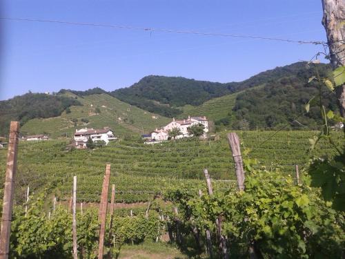 La Casa Vecchia - image 8