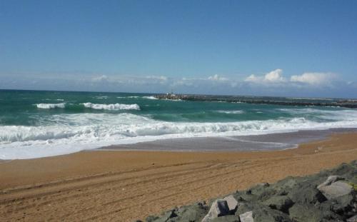 Le Cocon d'Aguilera à 200m du stade et 2km de la plage - Location saisonnière - Anglet