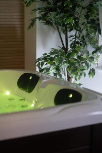 Spa Palawan privé avec jacuzzi et sauna Liège