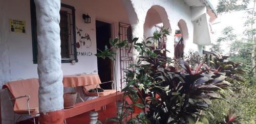 balcon/terrasse, Drapers San Guest House in Port Antonio