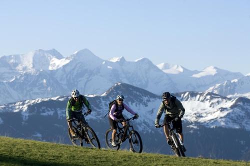 Pension Riedlsperger - image 2