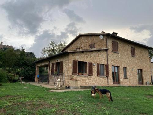 Casale Riorso Room Type - Double Room with Garden View