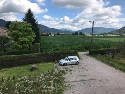 Bel appartement avec extérieur à la campagne. - Apartment - Dommartin-lès-Remiremont