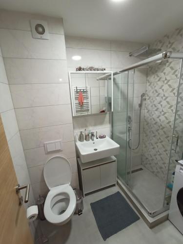 ห้องน้ำ, Apartman Srce Zlatibor in ราซัดนิก