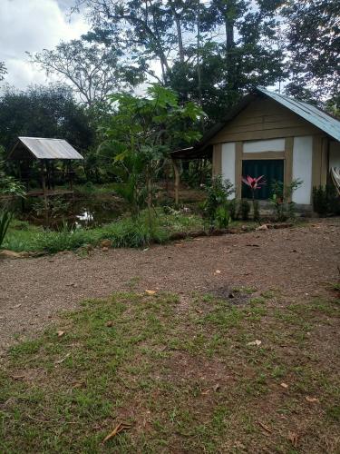 . Cabinas Casa jungla