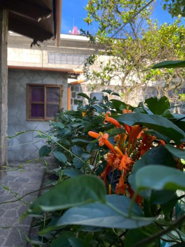 Casa Qatzij - Guest House, Lake Atitlan