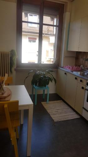 Beauregard-Sous-Gare - Apartment - Lausanne