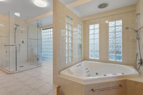 Magnificent Beachfront Mansion - Pool - Fireplace, Auckland (photo 6)