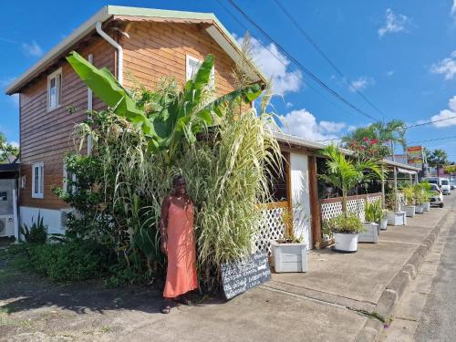 View, Le Cosy Bungalow de Lili / 5min de l'aeroport in Les Abymes