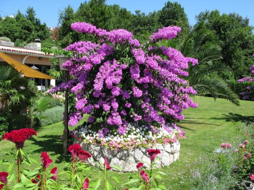 Bed and Breakfast Villa Iris