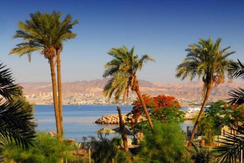 La Riva Hotel – Al' Aqabah, TX