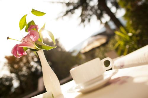 Hotel Aster – Merano, MS
