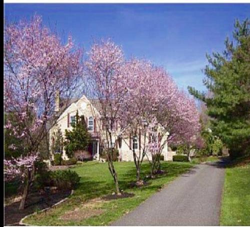 Luxury Vacation Estate - Accommodation - Pottstown