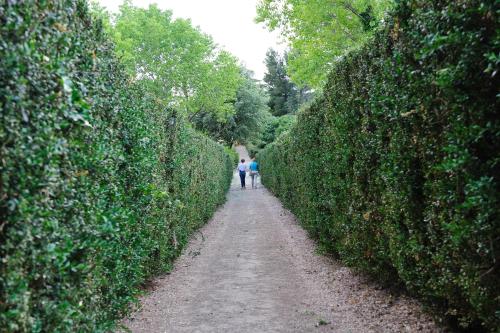 Villa Trigona - image 3