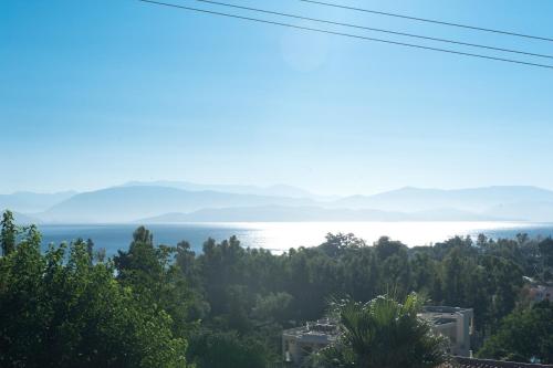 Deluxe Villa Rose with Private Pool - image 7