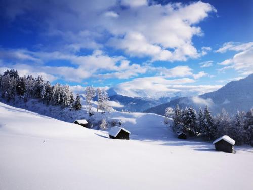 Apartment Mountain View Apartment Mountain View