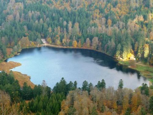 Gîte La Bresse 3 pièces 4 personnes - FR-1-589-189 - image 2