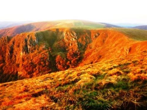 Gîte La Bresse 3 pièces 4 personnes - FR-1-589-189 - image 12