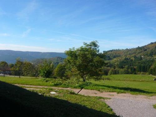 Gîte Saulxures-sur-Moselotte 3 pièces 5 personnes - FR-1-589-237 - image 28