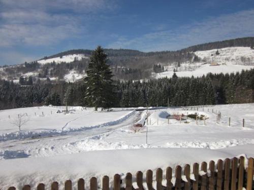 Gîte Saulxures-sur-Moselotte 3 pièces 5 personnes - FR-1-589-237 - image 20