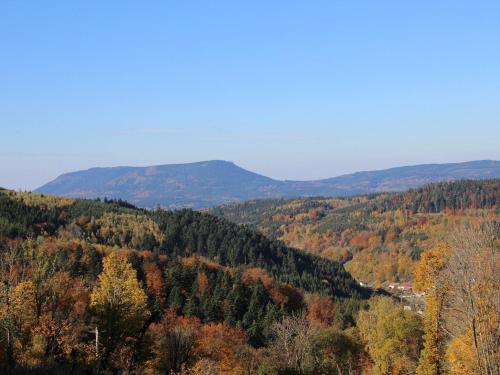 Gîte Provenchères-sur-Fave, 3 pièces, 4 personnes - FR-1-589-224