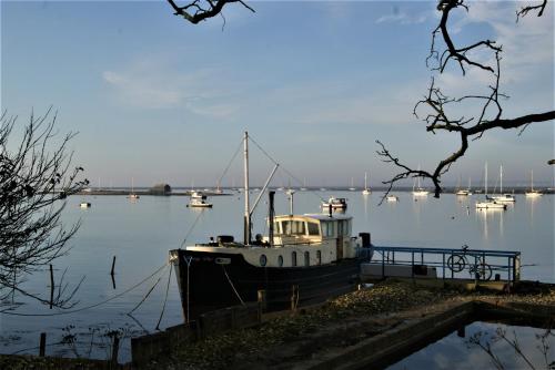 Secluded Island Retreat - in the heart of the Anchorage