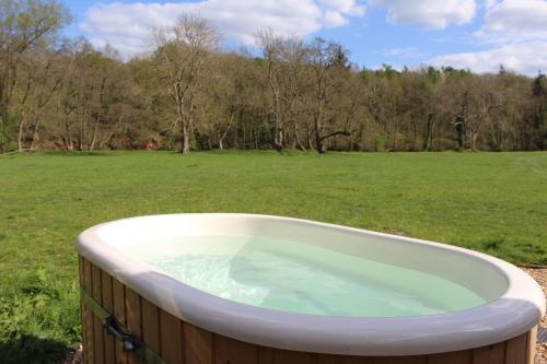 外部景觀, Kingfisher in 徹克市中心