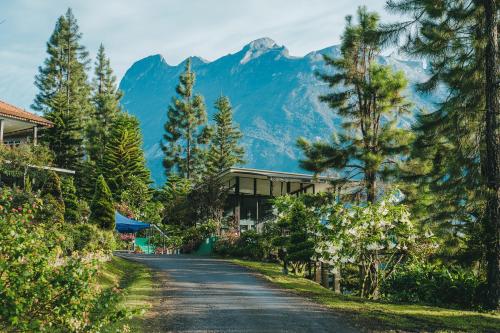 키나발루 국립공원 Mountain Valley Resort 호텔 부대시설