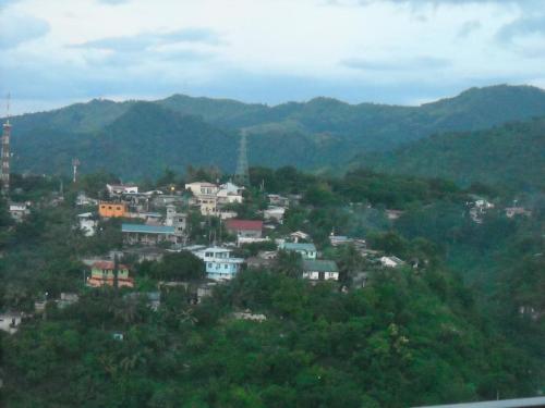 セブ ゲスト イン17