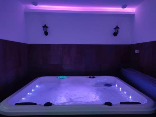 #FER RÊVER 63# Jacuzzi #Salle de Sport#Musculation - Apartment - Thiers