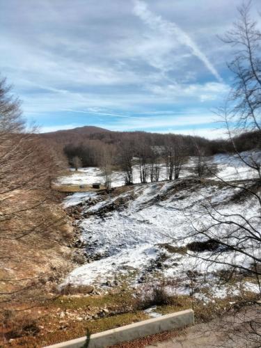 La Casetta di Ale -- LIVATA CAMPO DELL'OSSO - Il Bucaneve