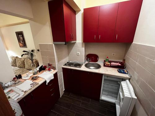 VIK apartman Brzece