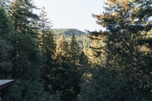 Redwoods River Resort & Campground Redwoods River Resort & Campground